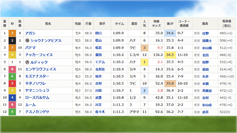 レース結果
