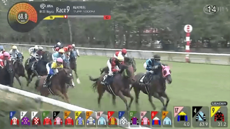新潟9Rのゴール前の様子