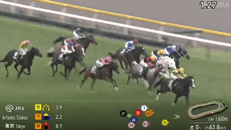 東京11Rのゴール前の様子