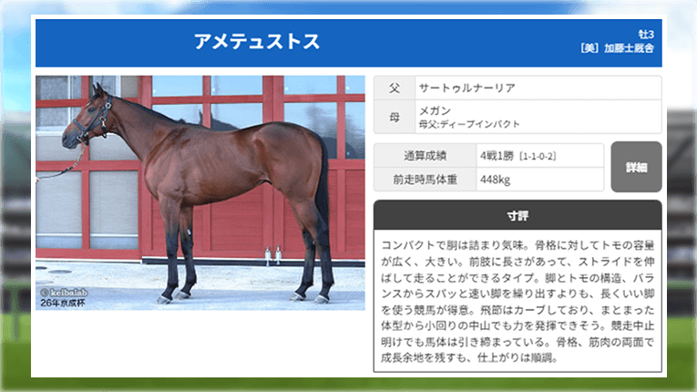 やーしゅんの馬体寸評