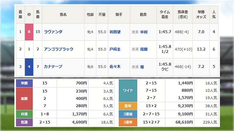 レース結果