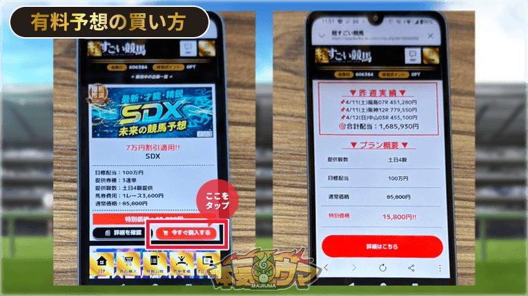 超すごい競馬の有料予想の買い方