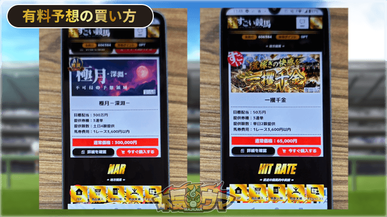 購入する有料予想を選択