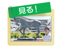 見る