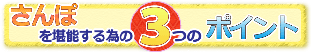 競馬場を堪能する3つのポイント