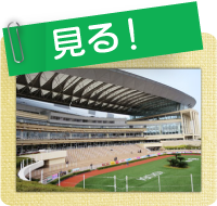 見る