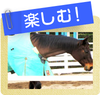 楽しむ